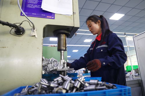 安徽濉溪 依托铝基新材料产业优势 发展汽摩配件加工制造